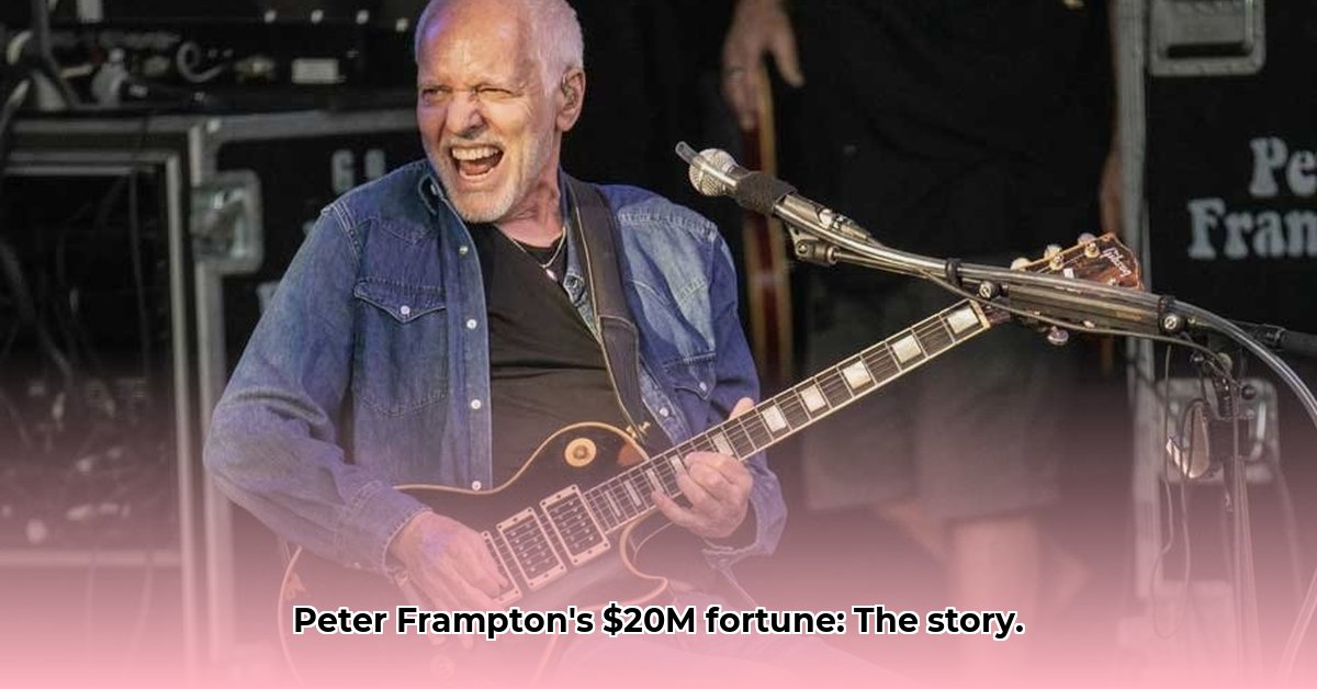 peter-frampton-s-net-worth